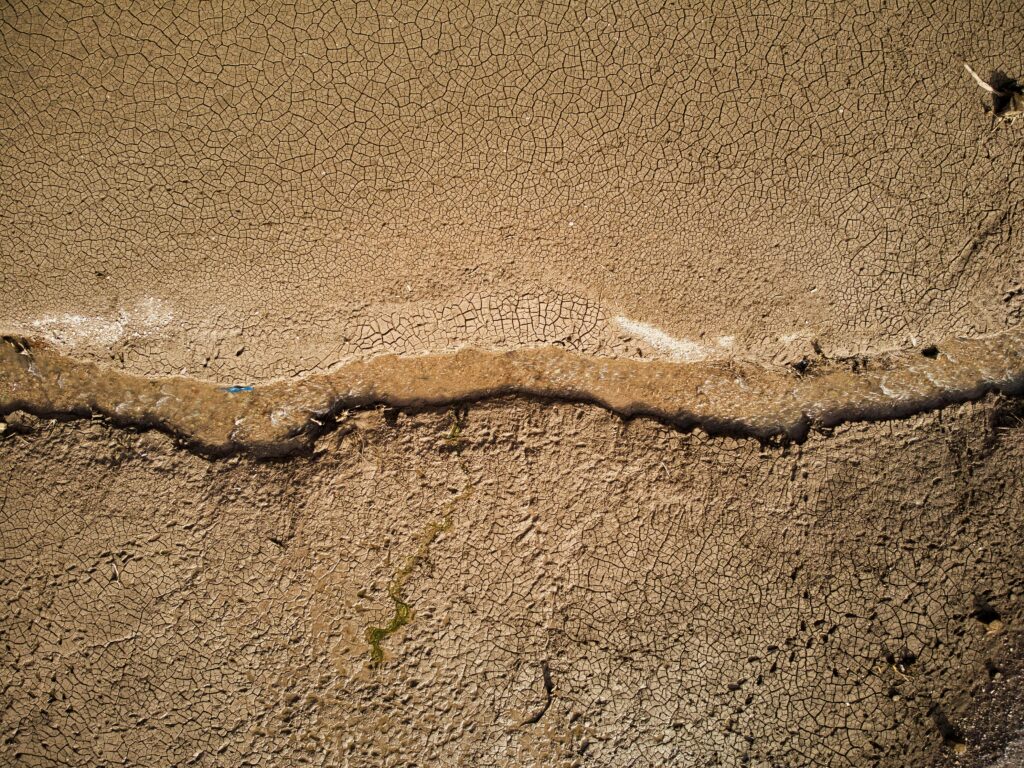 Pexels Dephshot 6927065 1024x768